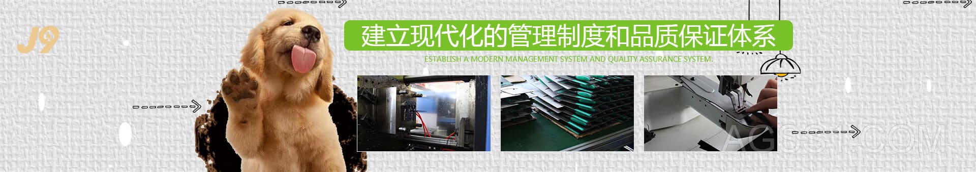j9九游真人游戏