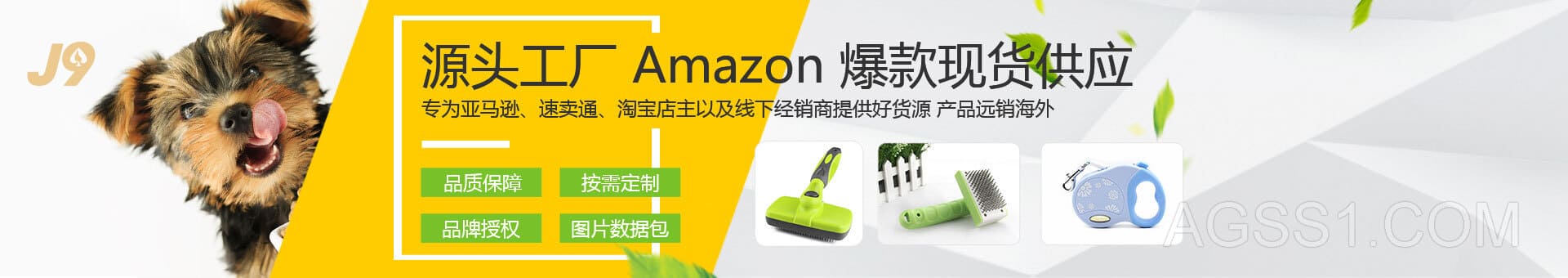 j9九游真人游戏